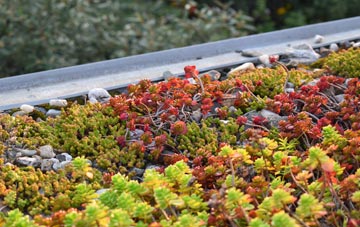 the cost of South Newbald green roof installation