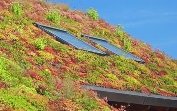 South Newbald living roof systems