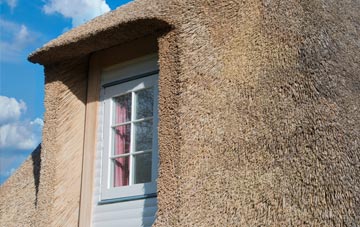 South Newbald thatch roof disadvantages
