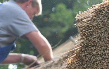 professional South Newbald thatchers